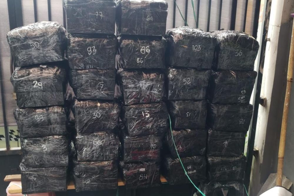 ark 1000 x 666 (17) ark 1000 x 666 (17)